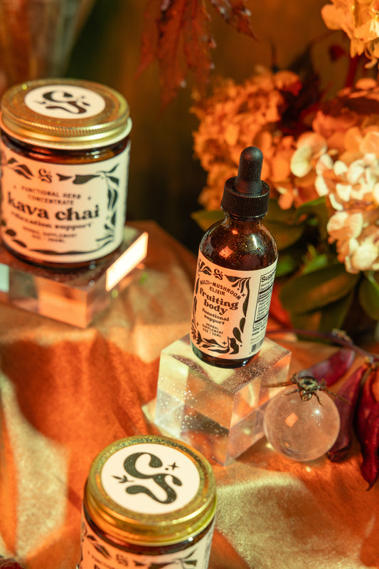 Fruiting Body | Multi-Mushroom Elixir