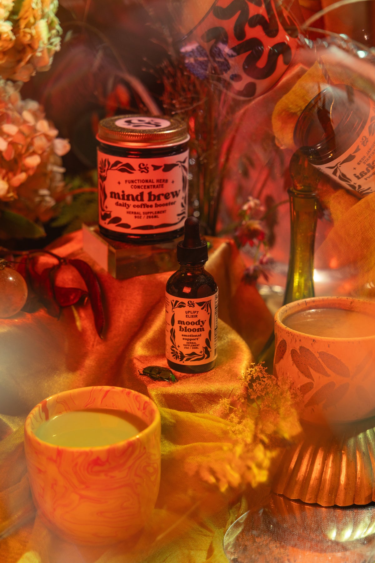 Fruiting Body | Multi-Mushroom Elixir