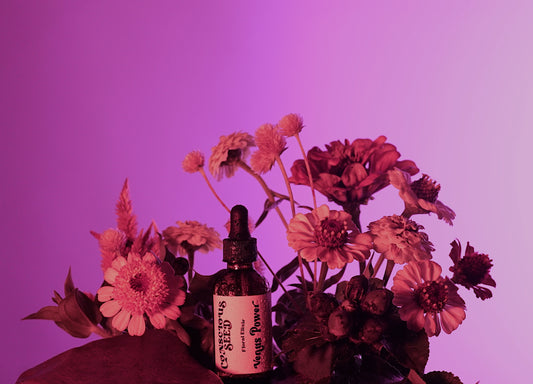 Venus Power Elixir | Hydration + Floral Bitters