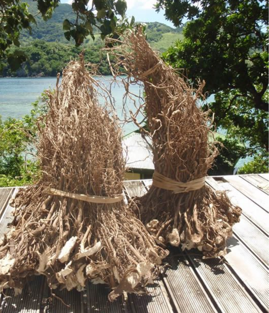 What is Kava? A Field Guide