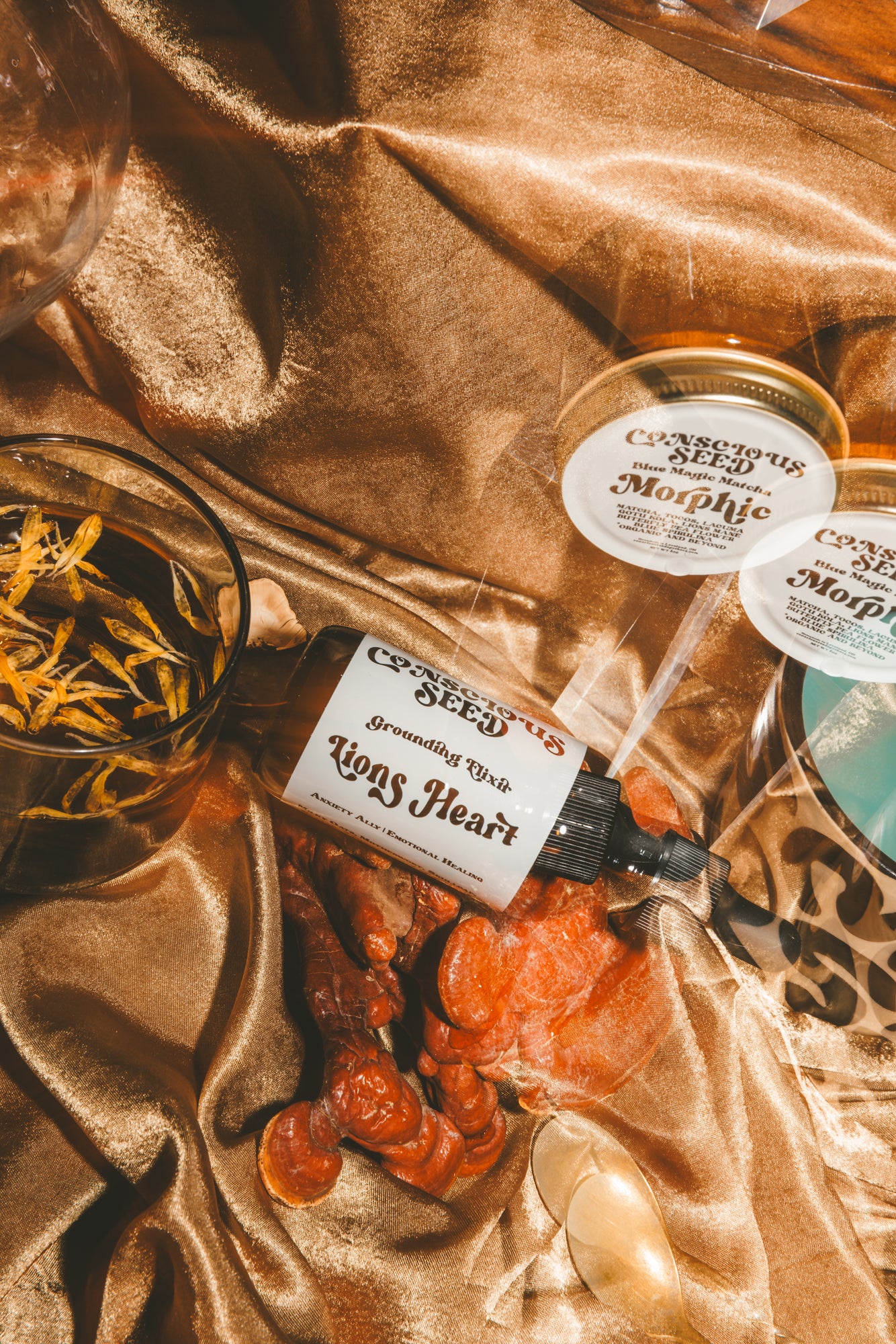 Lions Heart Elixir | Natural Stress Support + Emotional Grounding