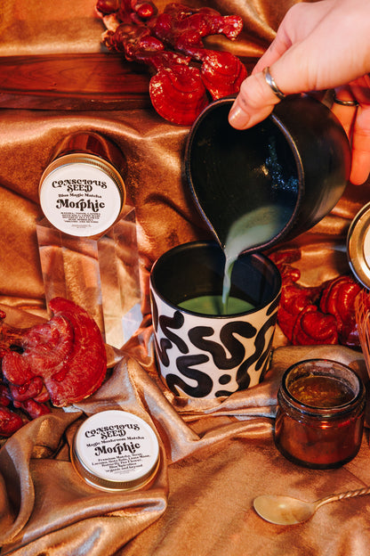 Morphic Mushroom Matcha | Blue Matcha