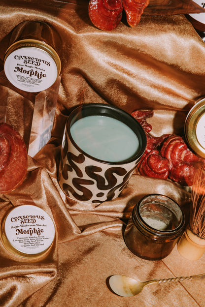 Morphic Mushroom Matcha | Blue Matcha