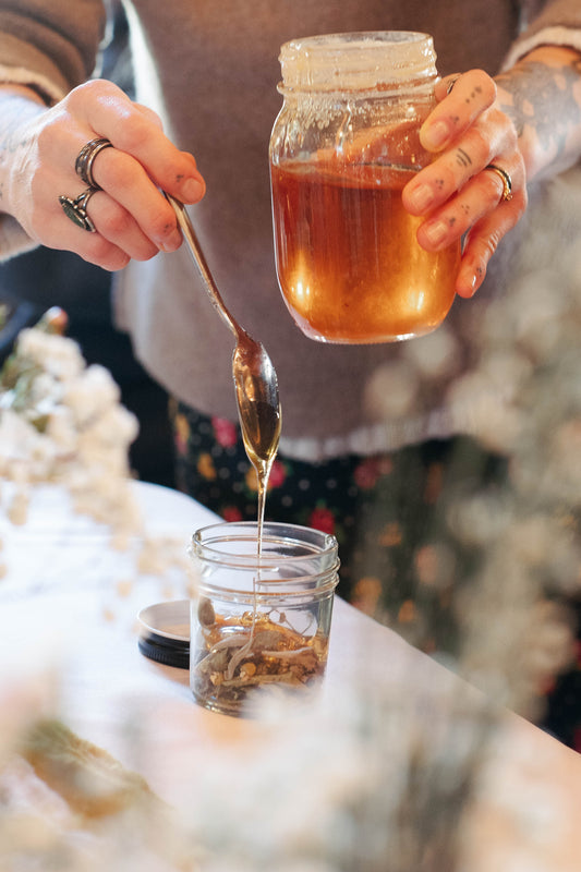 Make Your Own Herbal Oxymel: A Hands-On Elixir Workshop in Louisville