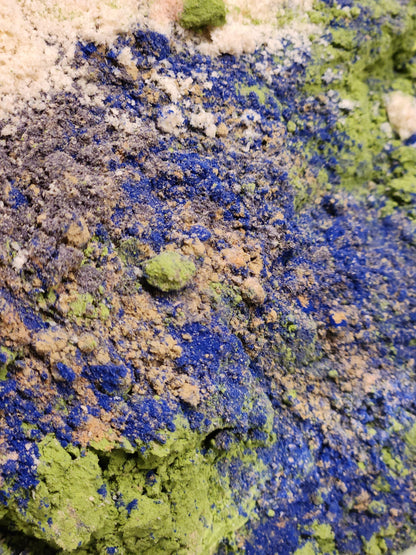 Morphic Matcha | Blue Mushroom Matcha
