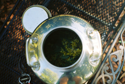 Allergy Spell Elixir