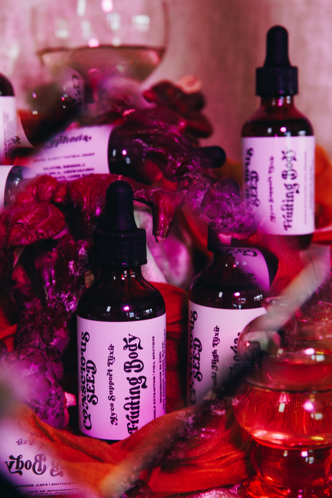 Fruiting Body Elixir | Adaptogenic Multi-Mushroom Tincture