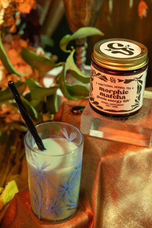 Morphic Matcha | Functional Herbal Tea