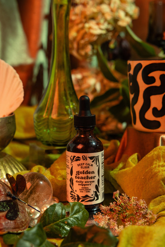 Golden Teacher | Deep Calm Elixir