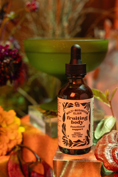 Fruiting Body | Multi-Mushroom Elixir