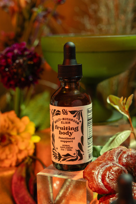 Fruiting Body | Multi-Mushroom Elixir