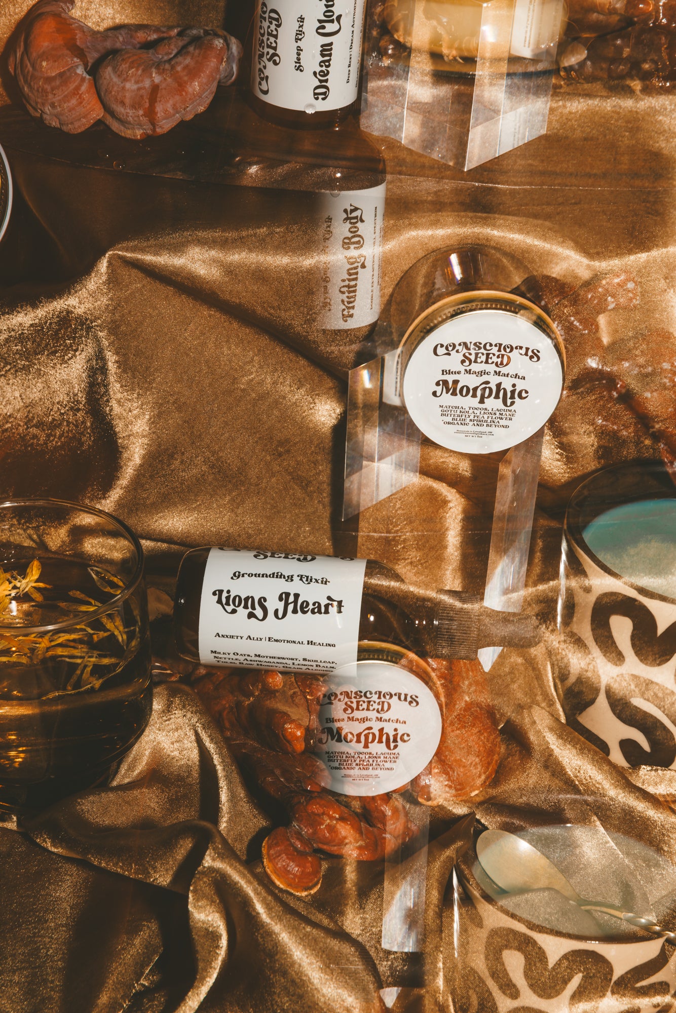 Lions Heart Elixir | Natural Stress Support + Emotional Grounding ...
