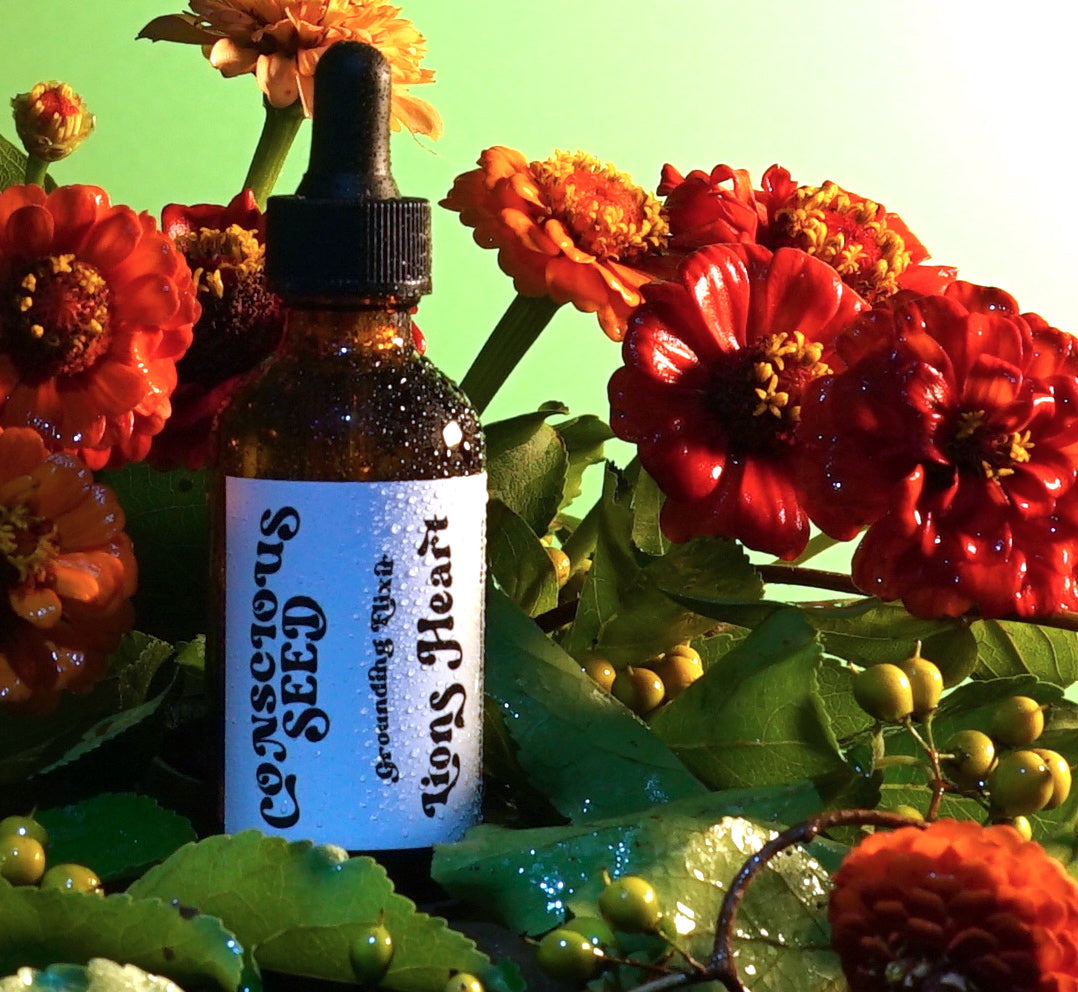 Lions Heart Elixir | Natural Stress Support + Emotional Grounding