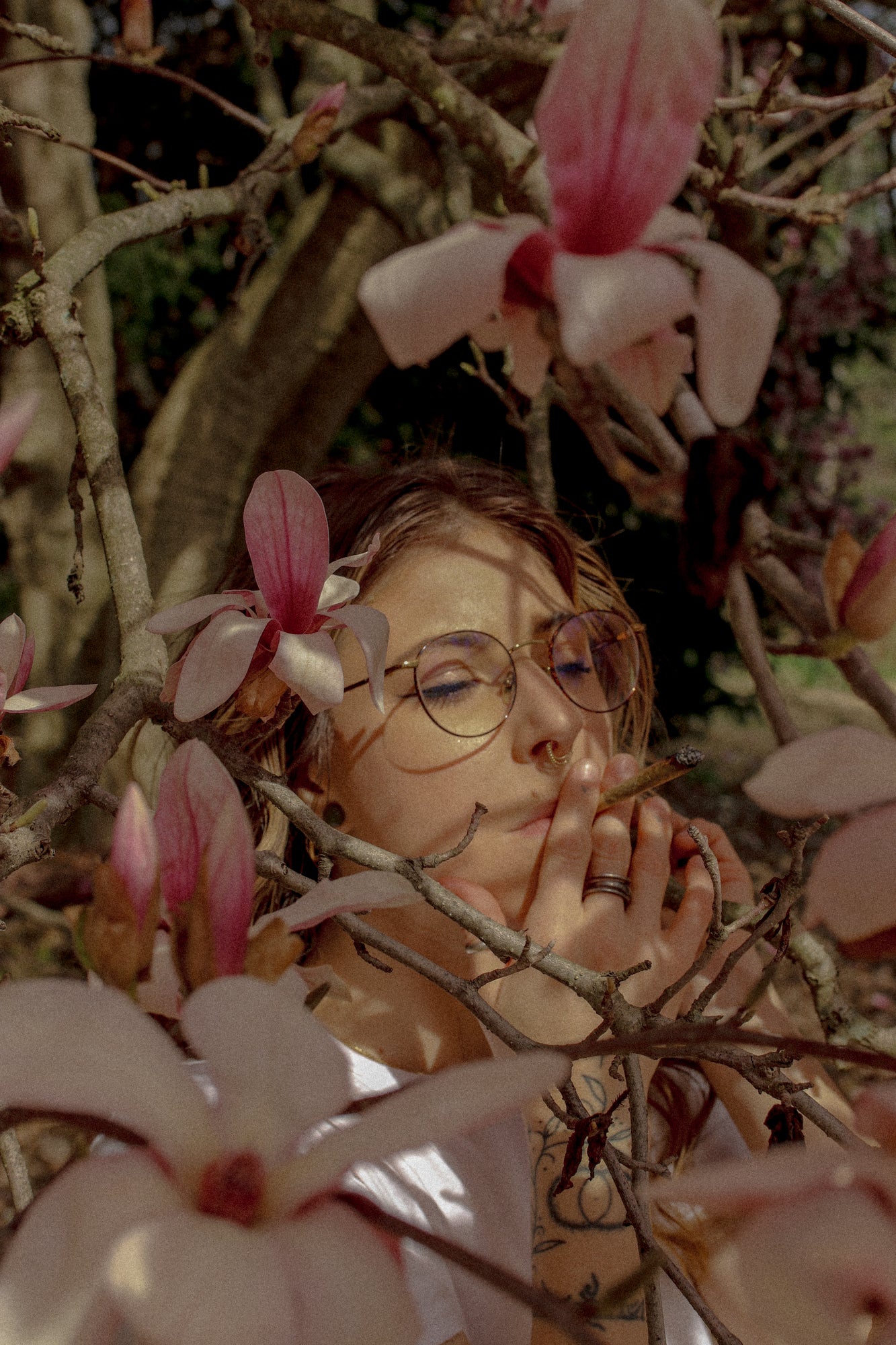 Enjoy the bliss of smoking a herbal pre roll