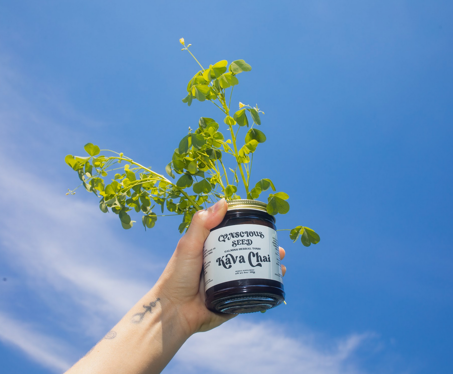 Award-winning Kava Chai — caffeine-free herbal blend promoting relaxation and centered energy.